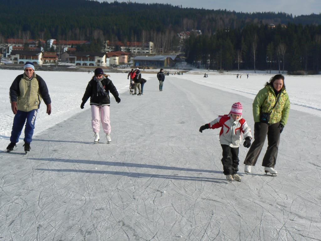 Mysi V Bote Lipno Lägenhet Lipno nad Vltavou Exteriör bild