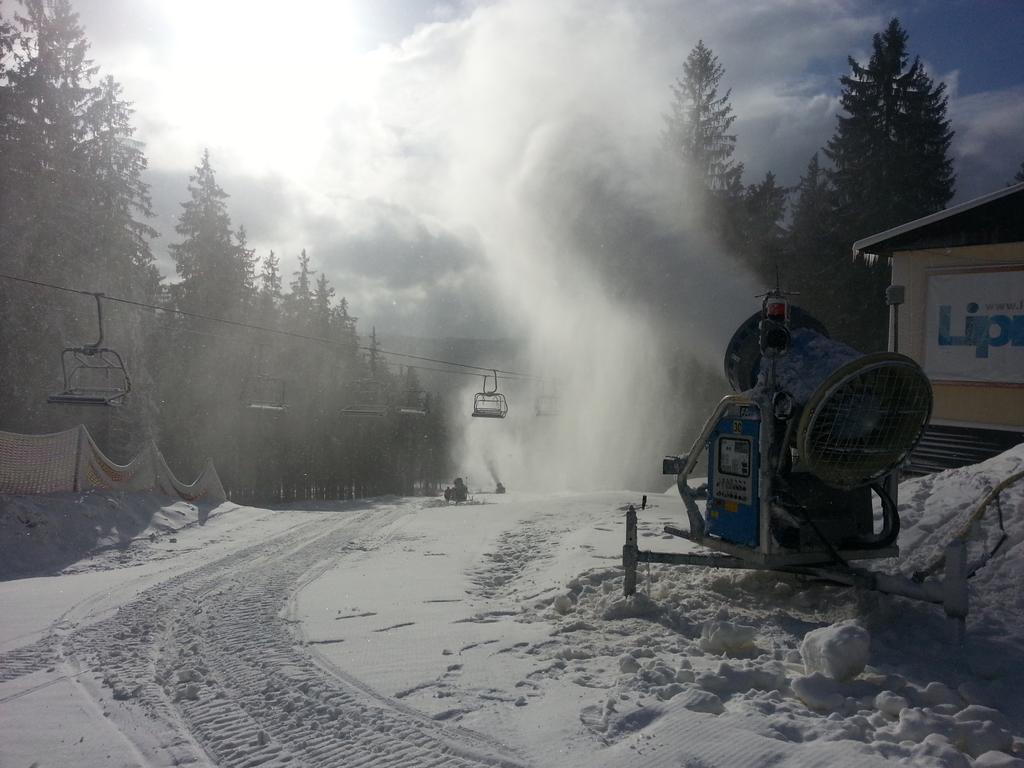 Mysi V Bote Lipno Lägenhet Lipno nad Vltavou Exteriör bild